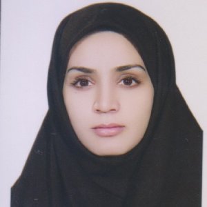 وکیل انیس احمدی نژاد