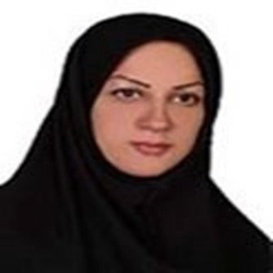 وکیل لیلا همتی