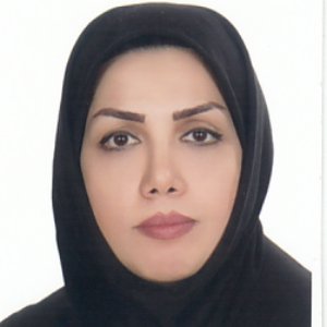 وکیل مریم ابراهیمی آرسون