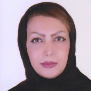 وکیل مینا اسلامی
