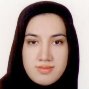 وکیل محدثه افتتاحی