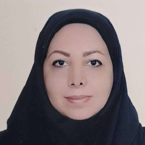 وکیل رزا ابراهیم نژاد