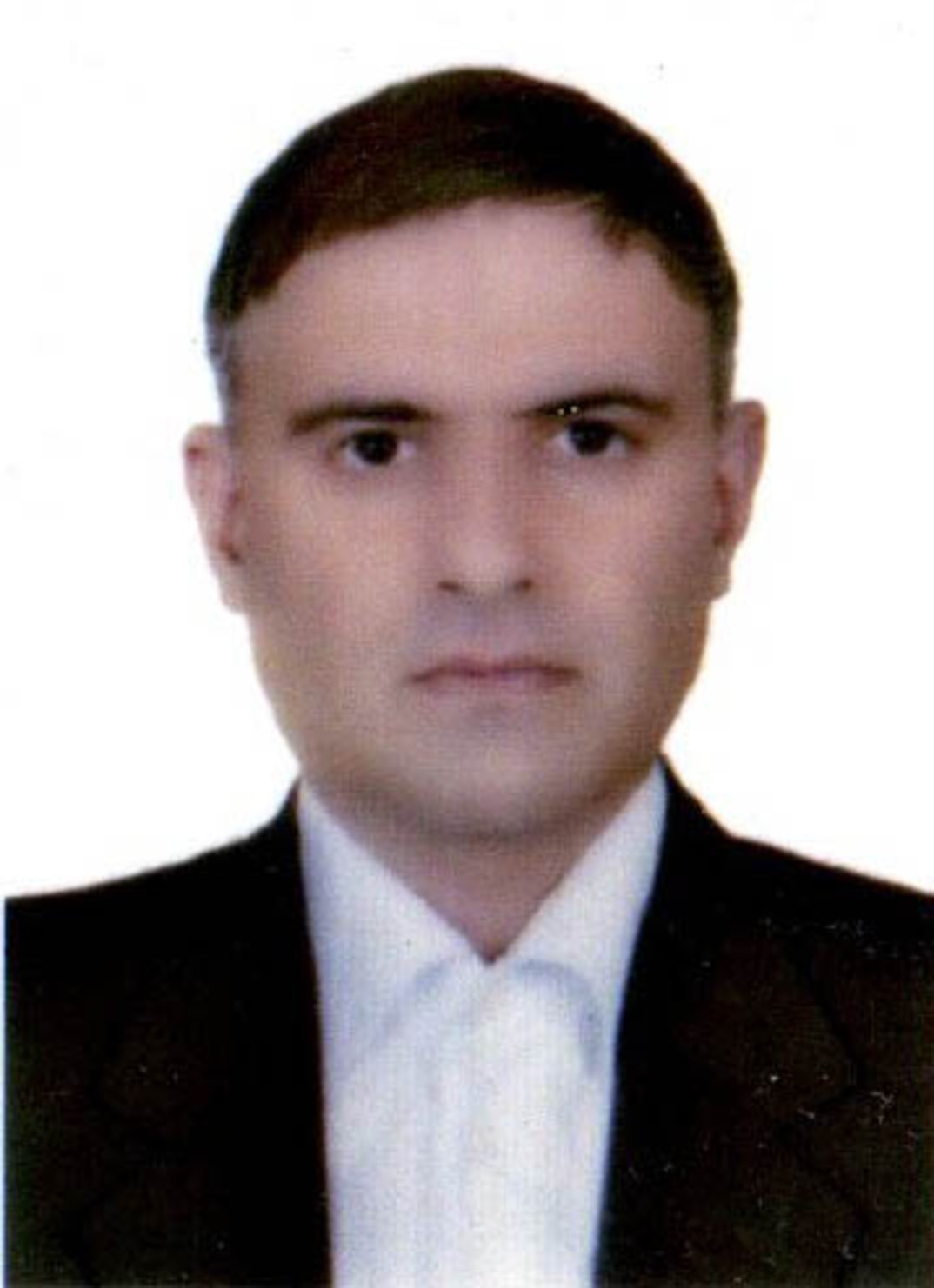 وکیل حامد حامدی