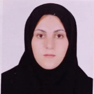 وکیل اکرم اسدی