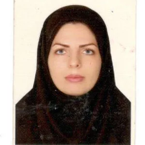 وکیل آزاده ابراهیمی اسکی