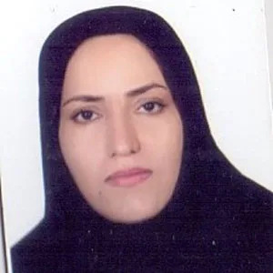 وکیل اعظم بهرامی فر