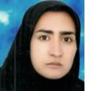 وکیل آذر ابراهیمی نصر