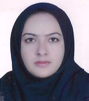 وکیل بهجت سلطانی