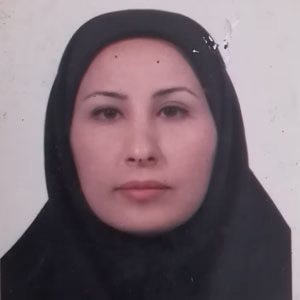 وکیل ایده خواجه گانی
