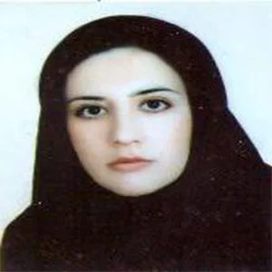 وکیل مریم امیری