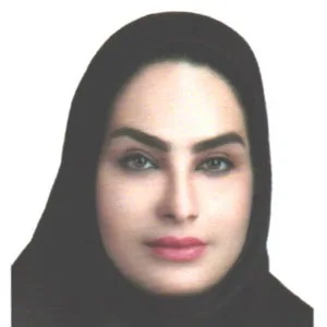 وکیل مهری ابراهیمی