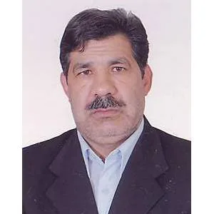 وکیل محسن مرتضوی پیکانی