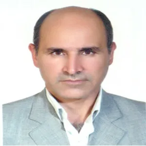 وکیل ناصر اکبر نیا