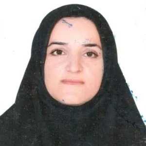 وکیل پروانه ابراهیمی