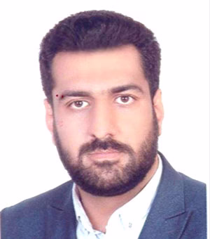وکیل سیدحسین میرداداشی کاری