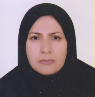 وکیل صغری ابراهیمی