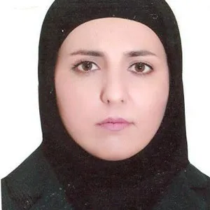وکیل سمیه آقائی پور