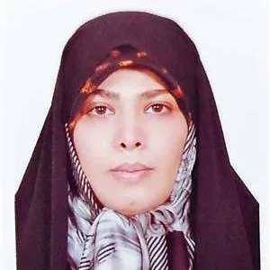 وکیل سمیه برزگر
