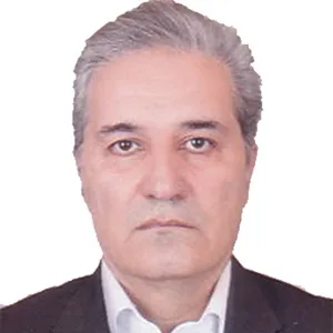 وکیل امیر ظل طاعت