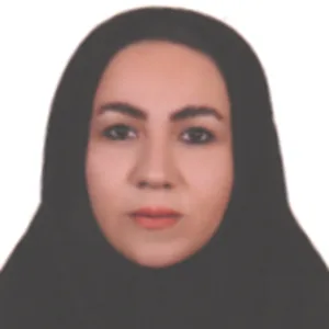 کیل مینا پیرمردوند چگینی