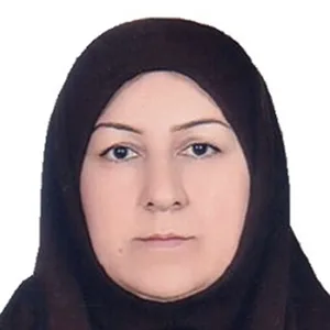 وکیل میترا لطفی پوردهکاء