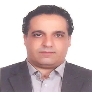 وکیل امیر میرزائی