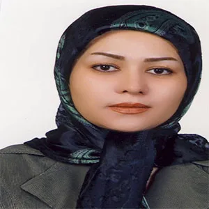 وکیل مریم نامی ملایی