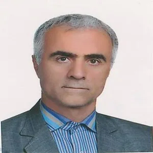وکیل روح اله عدل خواه