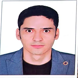 وکیل سیدمهدی موسوی