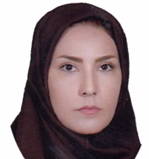 وکیل طیبه گل چین