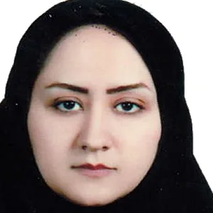 وکیل سولماز ندائی