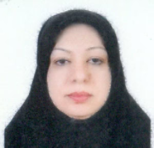 وکیل اکرم محمدی