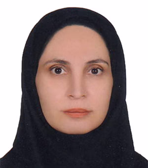 وکیل انیس فرهودی