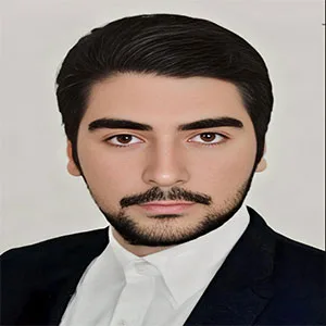 وکیل حسین نبی پور