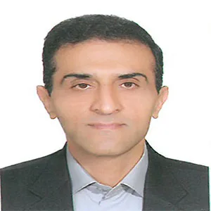 وکیل مهدی رضایی