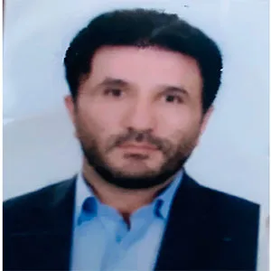 وکیل محی الدین محمدی