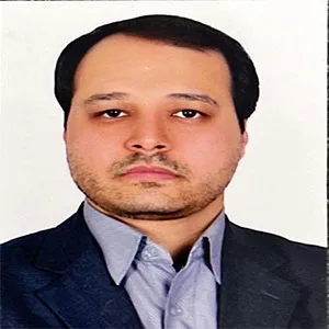 وکیل سید مهدی ربیعی