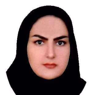 وکیل مهدیه دزگی