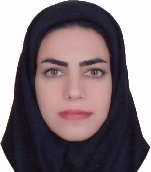 وکیل راضیه مولنجانی