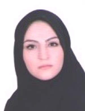 وکیل زهرا نهیبی