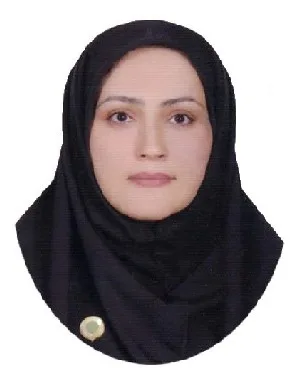وکیل آدینه حبیب پورگلسفیدی