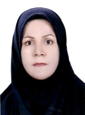 وکیل آرزو انبارکی