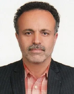 وکیل احد باستی