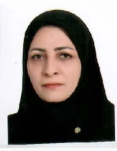 وکیل اعظم نصراصفهانی‌