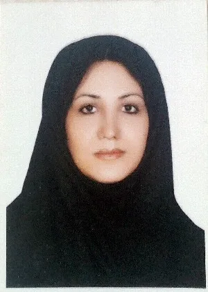 وکیل الهام پازوکی
