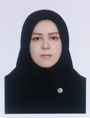 وکیل الهام پیر