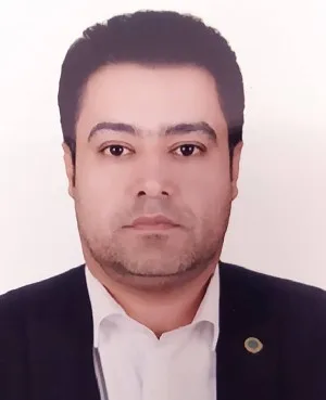 وکیل امیر تیموری