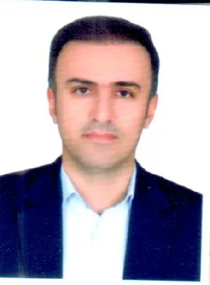 وکیل امیر رواجی