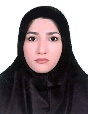 وکیل اندیشه انصاری