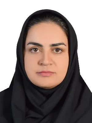 وکیل اکرم جهانی فر